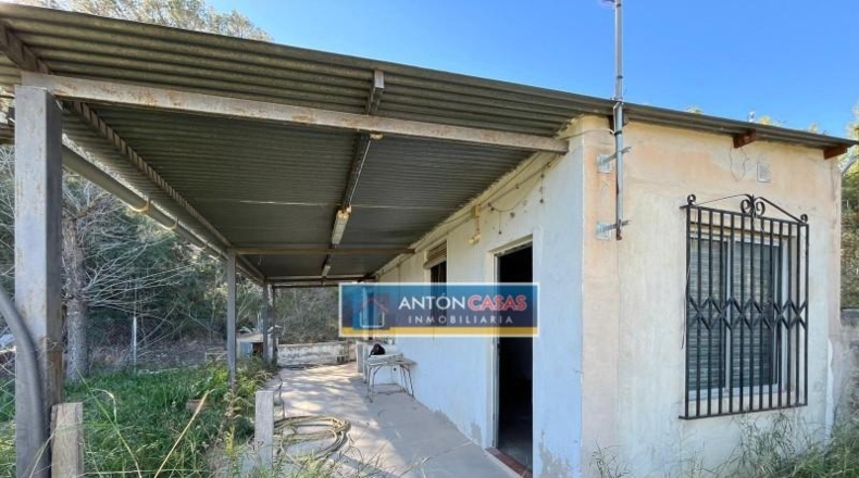 Alicante - Aspe - 21469m2