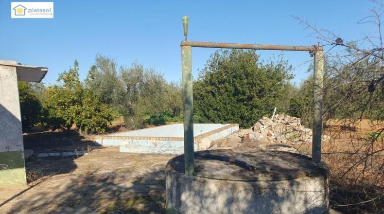 Sevilla - Aznalcázar - 22550m2