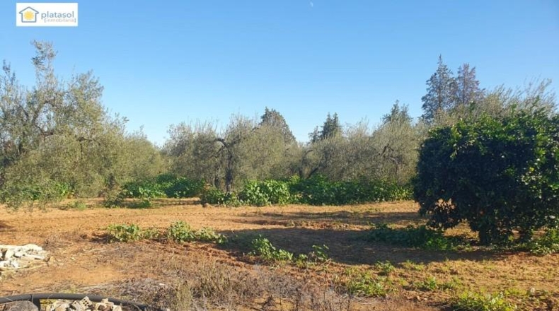 Sevilla - Aznalcázar - 22550m2