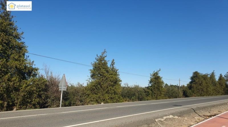 Sevilla - Aznalcázar - 22550m2