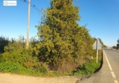 Отдельно стоящий дом с участком на продажу в городе Aznalcázar Фото