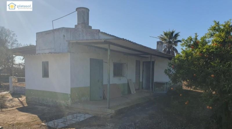 Sevilla - Aznalcázar - 22550m2