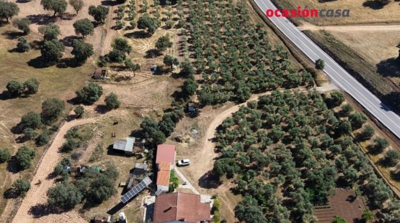 Córdoba - La Granjuela - 29000m2