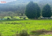 Suelo urbano en venta en la España, O Barreiro, ref: TR238121 foto