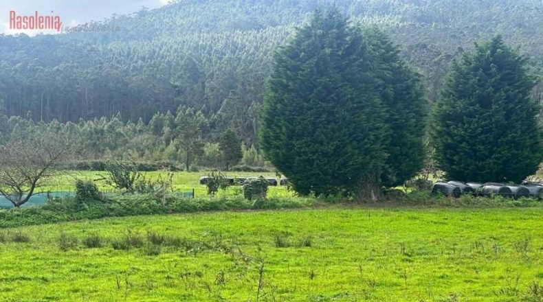 Lugo - Vilamar - 24900m2