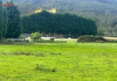Suelo urbano en venta en la España, O Barreiro, ref: TR238121 foto