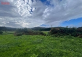 Suelo urbano en venta en la España, O Barreiro, ref: TR238121 foto