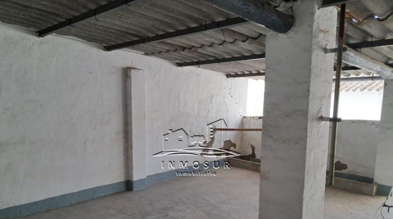 Córdoba - Lucena - 234m2