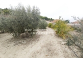 Chalet independiente con terreno en venta en la España, Aspe, ref: TR399058 foto