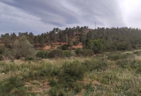 Xerta 121450&nbsp;м²