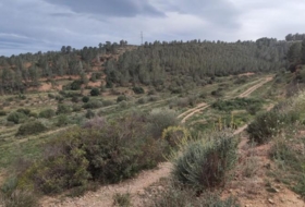 Xerta 121450&nbsp;м²
