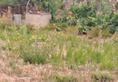 Terreny amb magatzem en venda a la España, Ponferrada, ref.: TR398348 foto