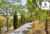 Rural estate for sale on España, Cuevas del Campo, ref: TR170639 photo