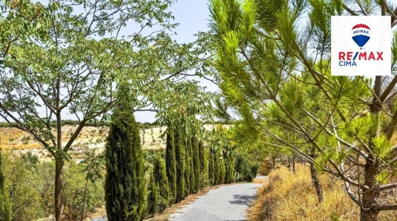 Granada - Cuevas del Campo - 10000m2