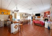 Chalet independiente con terreno en venta en la España, Darro, ref: TR409595 foto