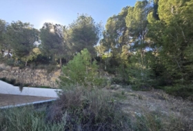 Pilar de la Horadada 804&nbsp;m²