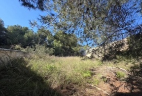 Pilar de la Horadada 804&nbsp;m²