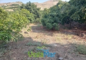 Terreno no urbanizable en venta en la España, Almuñécar, ref: TR113213 foto