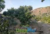 Terreno no urbanizable en venta en la España, Almuñécar, ref: TR113213 foto