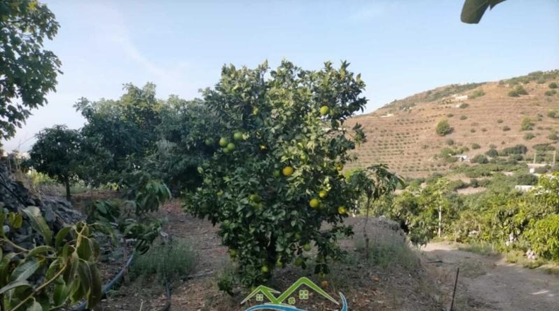 Granada - Almuñécar - 4339m2