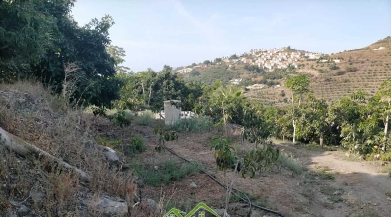Granada - Almuñécar - 4339m2