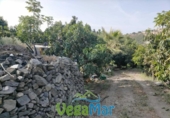 Terreno no urbanizable en venta en la España, Almuñécar, ref: TR113213 foto