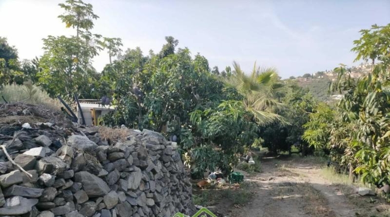 Granada - Almuñécar - 4339m2