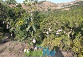 Terreno no urbanizable en venta en la España, Almuñécar, ref: TR113213 foto
