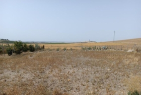 Villamartín 1700&nbsp;m²