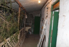 Foto 11