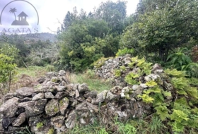 La Guancha 3759&nbsp;m²