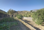 Casa de camp amb terreny en venda a la España, Canillas de Aceituno, ref.: TR152434 foto