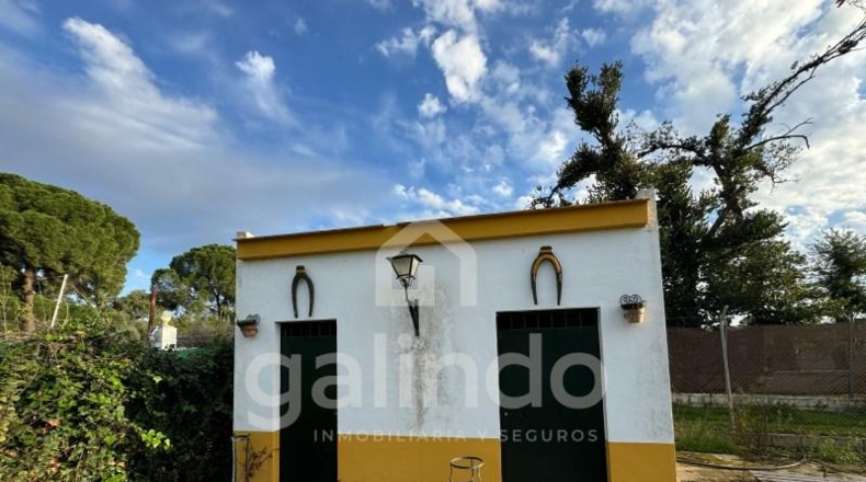 Seville - Marchena - 1100m2