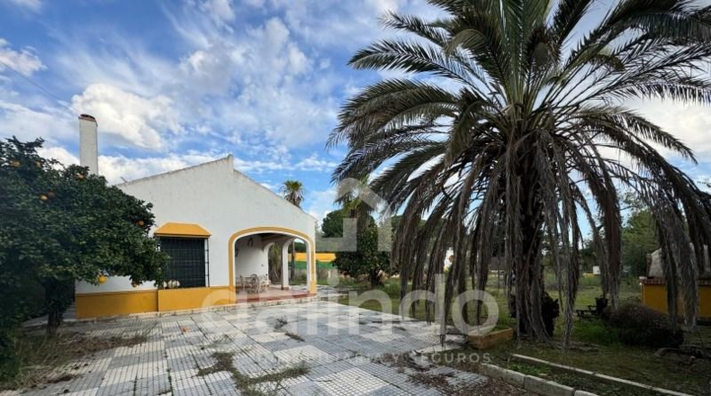 Seville - Marchena - 1100m2