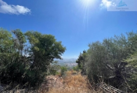 Salobreña 500&nbsp;m² 