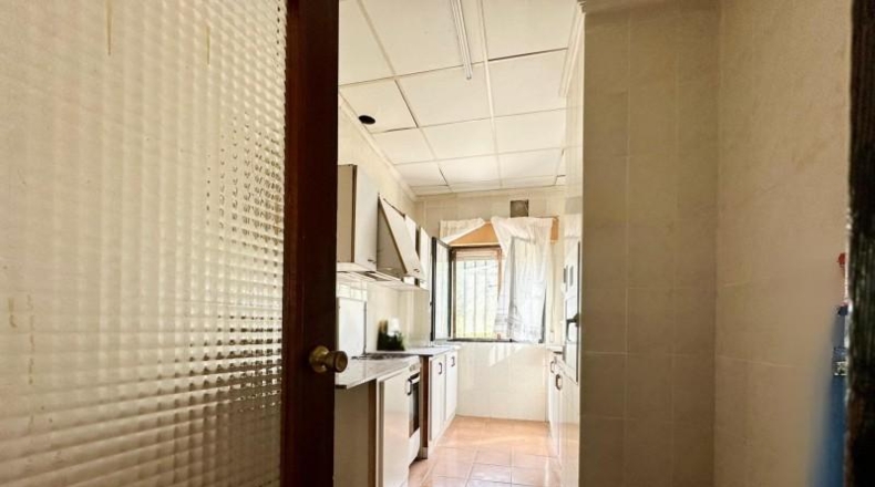 Alicante - Dolores - 2132m2