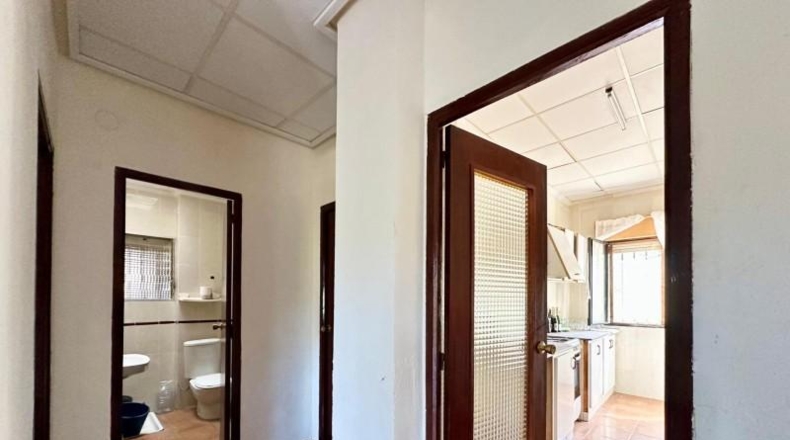 Alicante - Dolores - 2132m2