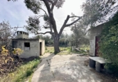 Casa de campo con terreno en venta en la España, Carlet, ref: TR383415 foto