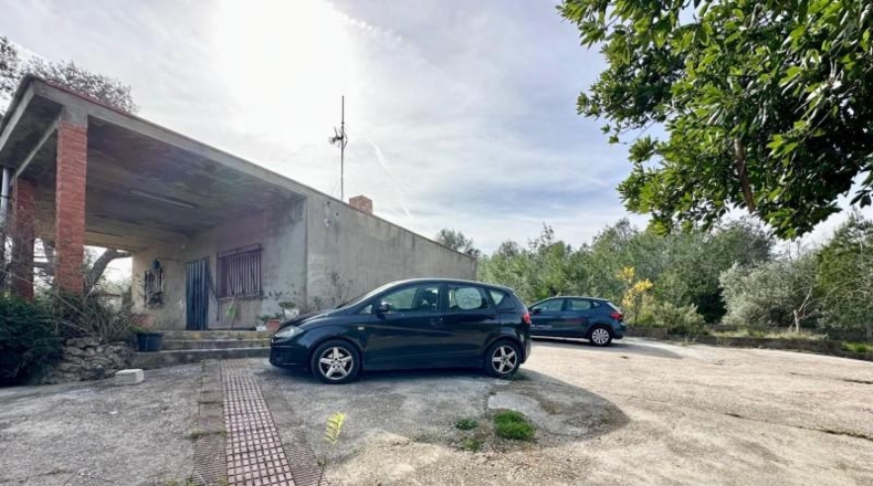 Alicante - Dolores - 2132m2