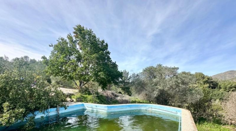 Alicante - Dolores - 2132m2