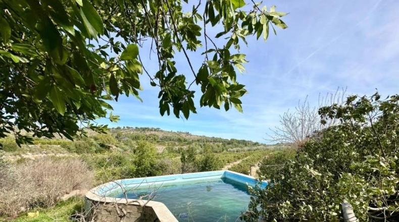 Alicante - Dolores - 2132m2