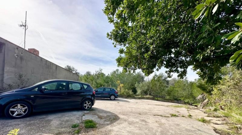 Alicante - Dolores - 2132m2