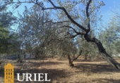 Suelo urbano en venta en la España, Carmona, ref: TR359846 foto