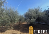 Suelo urbano en venta en la España, Carmona, ref: TR359846 foto