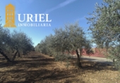 Suelo urbano en venta en la España, Carmona, ref: TR359846 foto