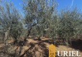 Suelo urbano en venta en la España, Carmona, ref: TR359846 foto