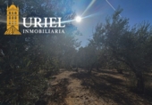 Suelo urbano en venta en la España, Carmona, ref: TR359846 foto