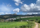 Дом с участком на продажу в городе Serrato Фото