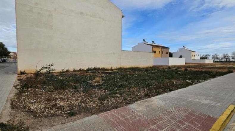 València - Silla - 221m2