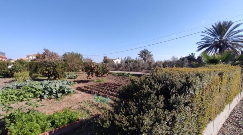 Valladolid - Carpio - 1600m2